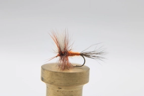 Ausable Wulff Dry