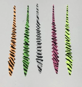 Barred Pacchiarini's Saddle Tails