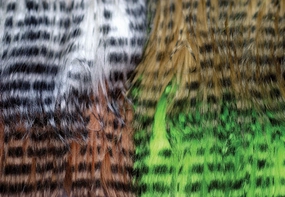 Barred Pseudo Hair