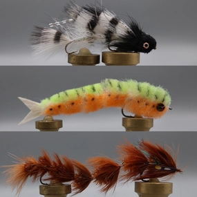 Bass Fly Assortment