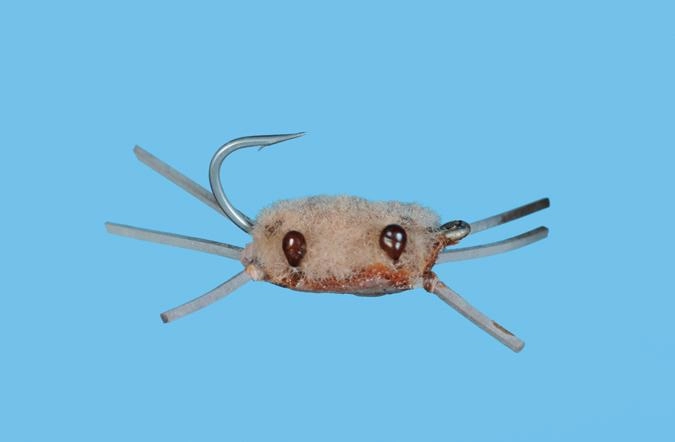 Bauer's Flats Crab
