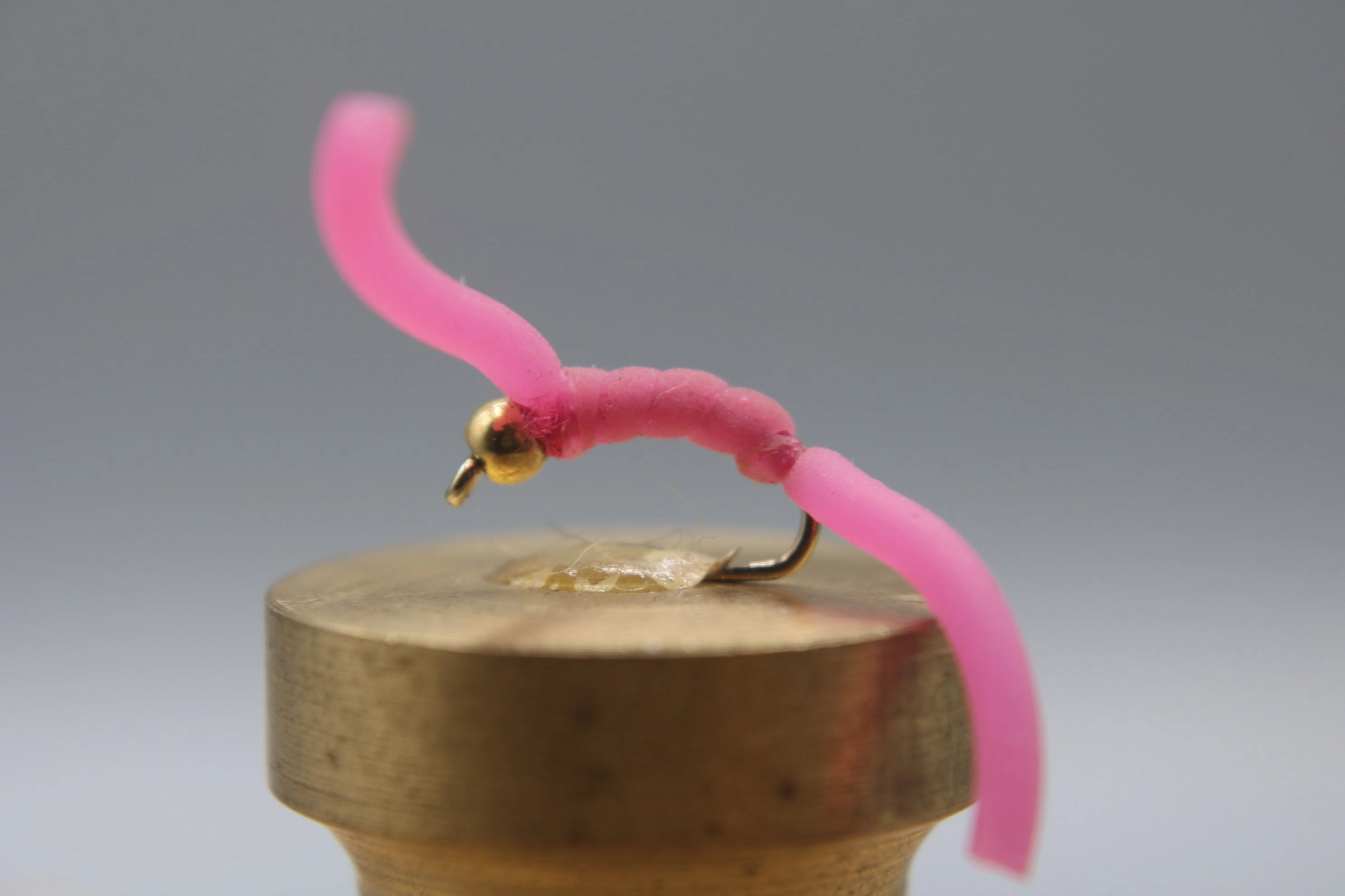 Bead Head Squirmy Worm