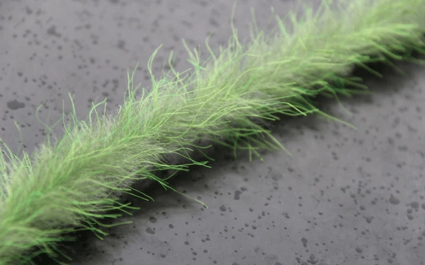 Beast Brushes Crusty Beast Brush