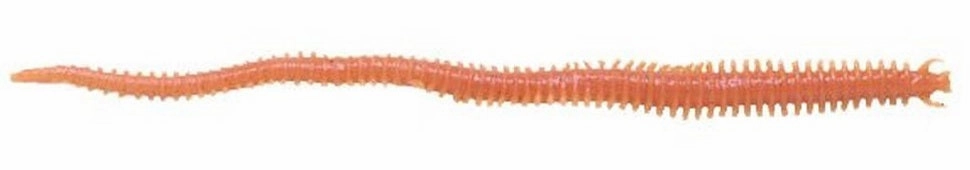 Berkley Gulp! 6 inch Scented Plastic Sandworm 10 pack