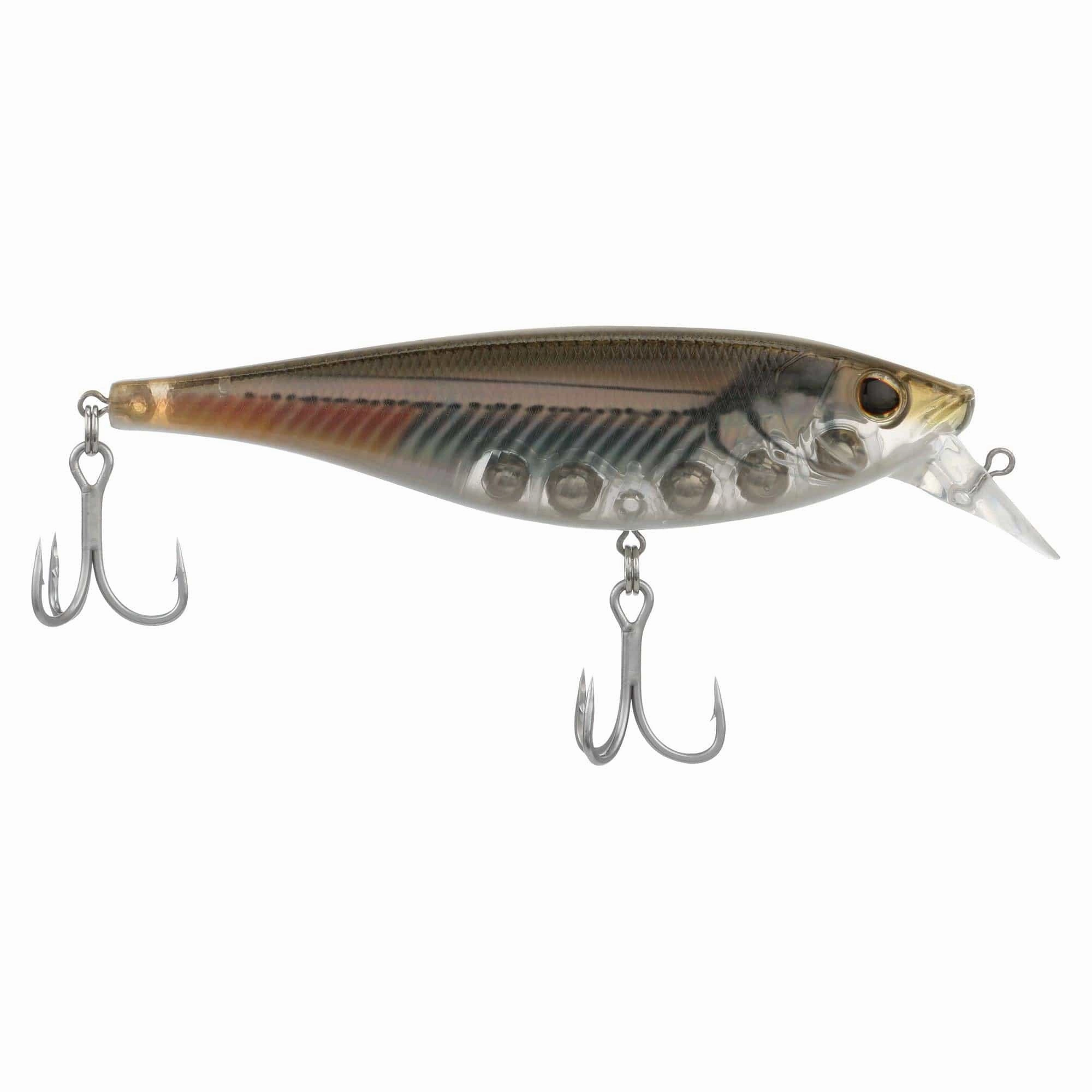 Berkley Juke Saltwater