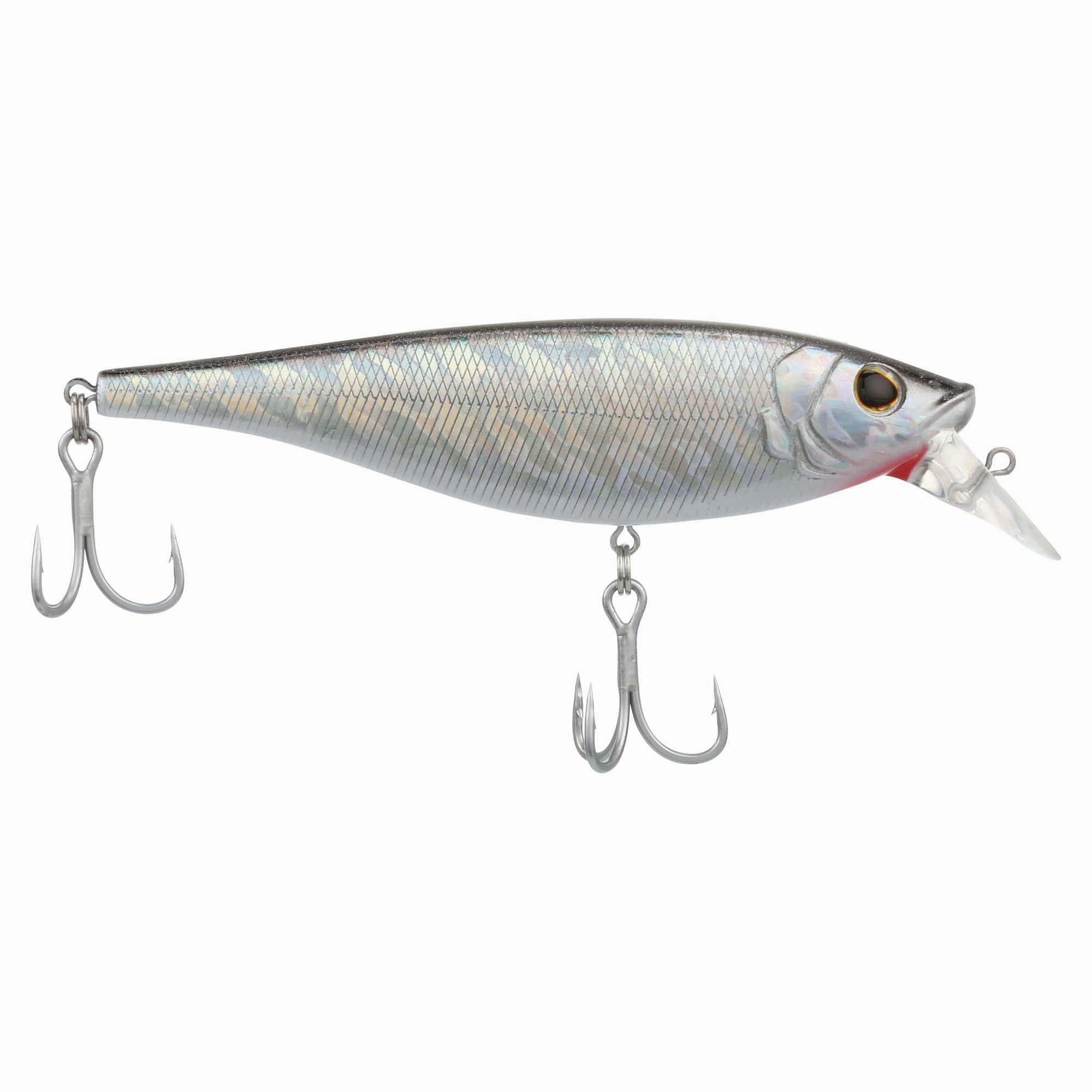 Berkley Juke Saltwater