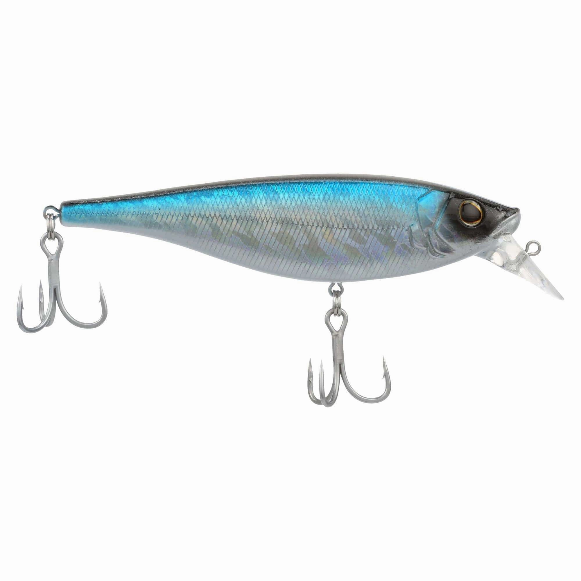 Berkley Juke Saltwater