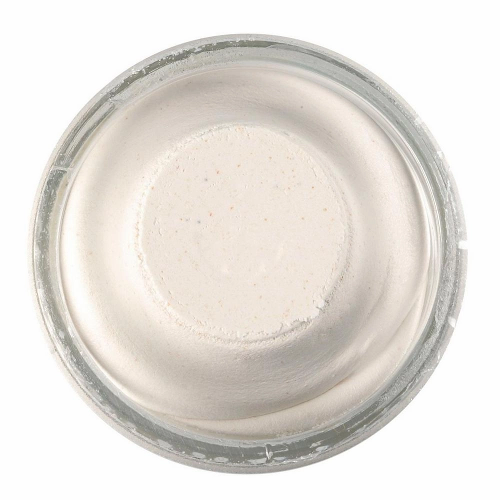 Berkley PowerBait Hatchery Trout Bait 1.75 oz. Jar
