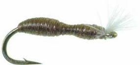 Blackfly Larva