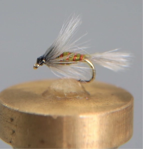 Blue Winged Olive Soft Hackle Emerger