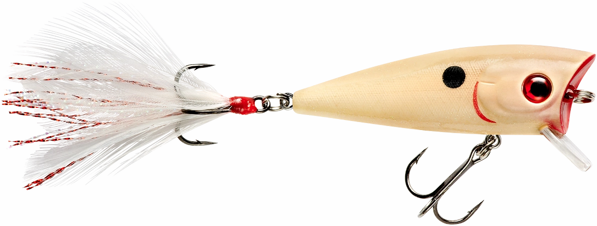 Booyah Prank 2 1/2 inch Topwater Popper