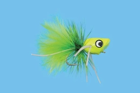 Bream Popper