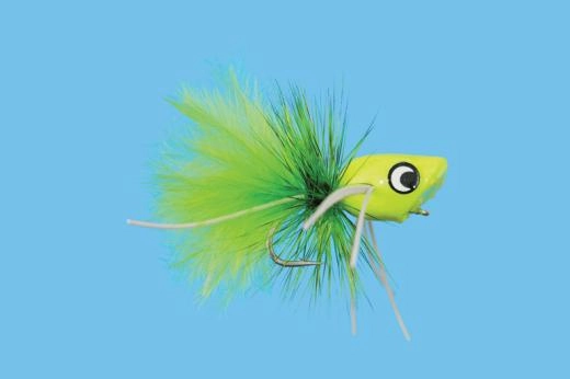 Bream Popper