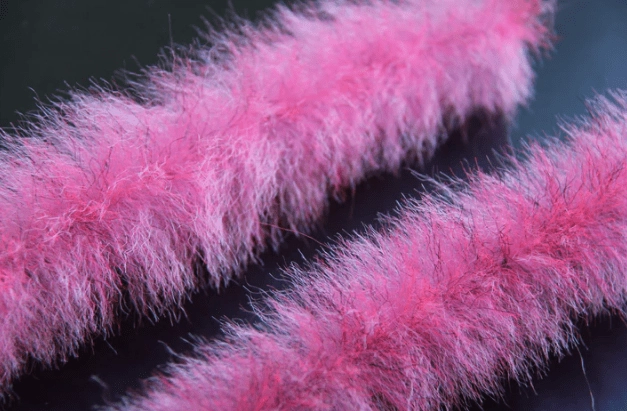 Breast Brushes Yowie Blend Brush