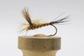 Brown Drake Parachute Dry