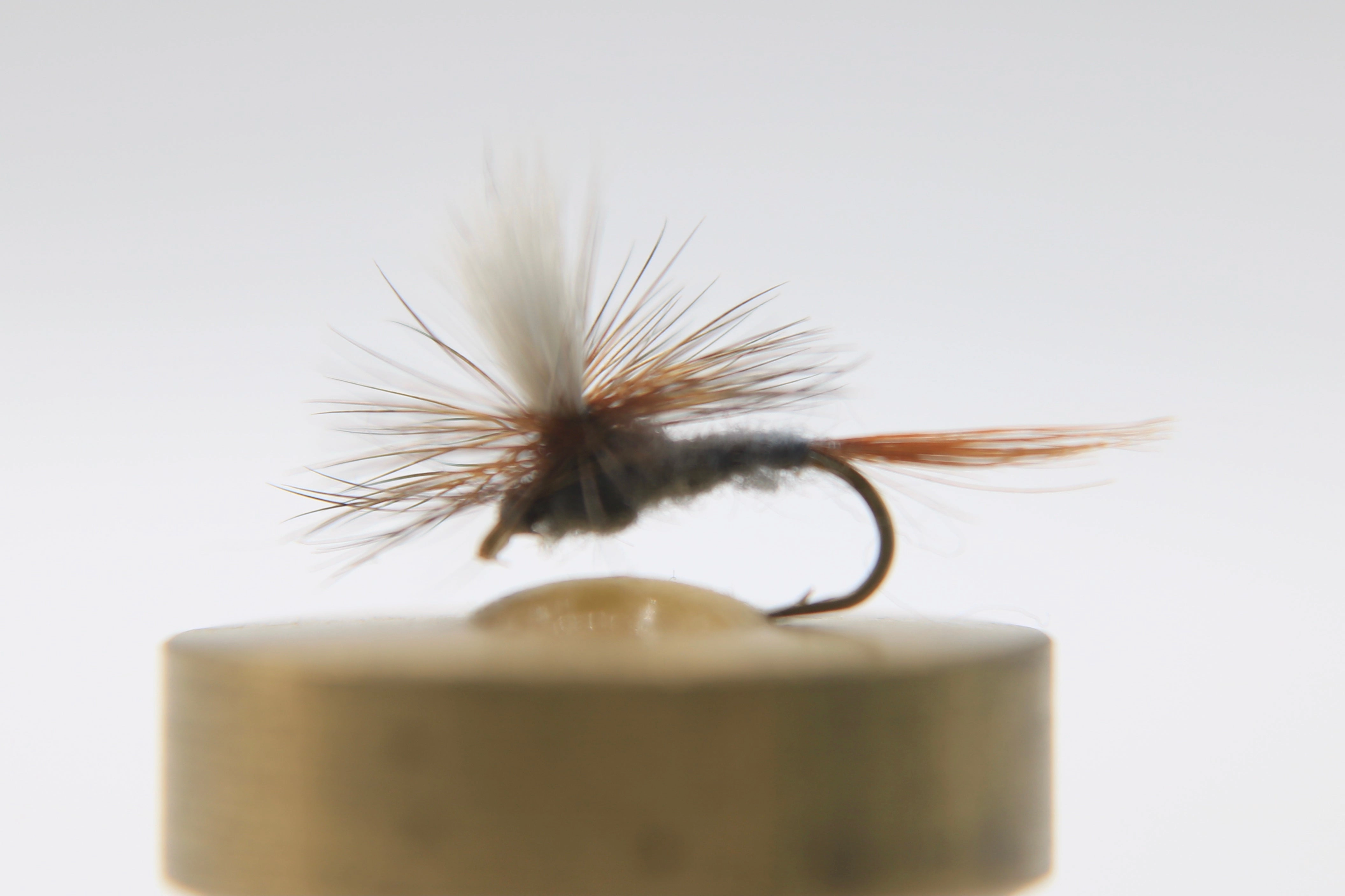 Cahill Dark Parachute Dry