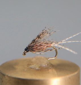 Cahill Dark Soft Hackle Emerger