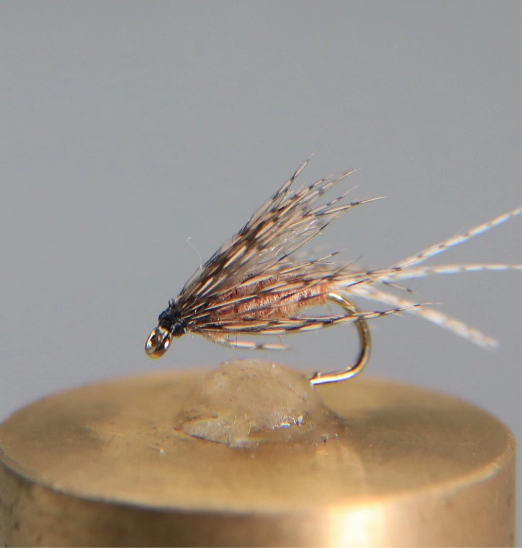 Cahill Dark Soft Hackle Emerger