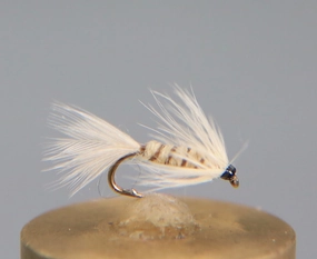 Cahill Light Soft Hackle Emerger