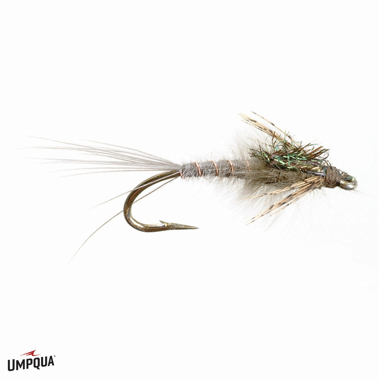 Callibaetis Nymph