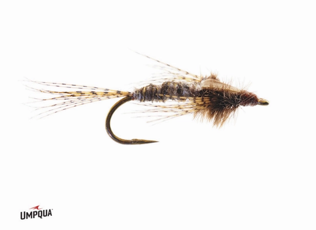 Callibaetis Nymph