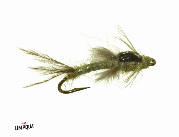 Callibaetis Nymph