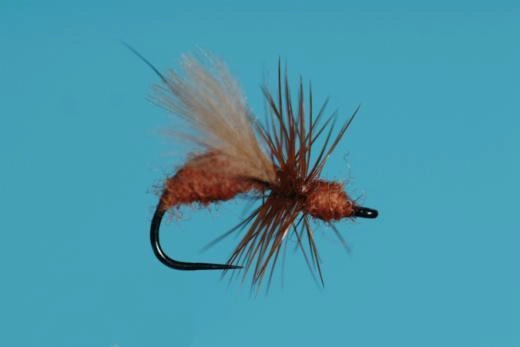 CDC FLYING ANT RED