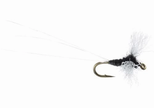 Chubby Trico Spinner
