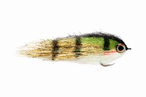 Clydesdale Gold Perch 1/0