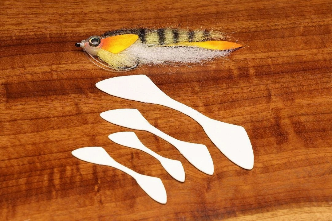 Cohen's Minnow Fin