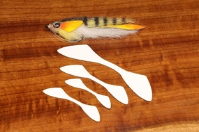 Cohen's Minnow Fin