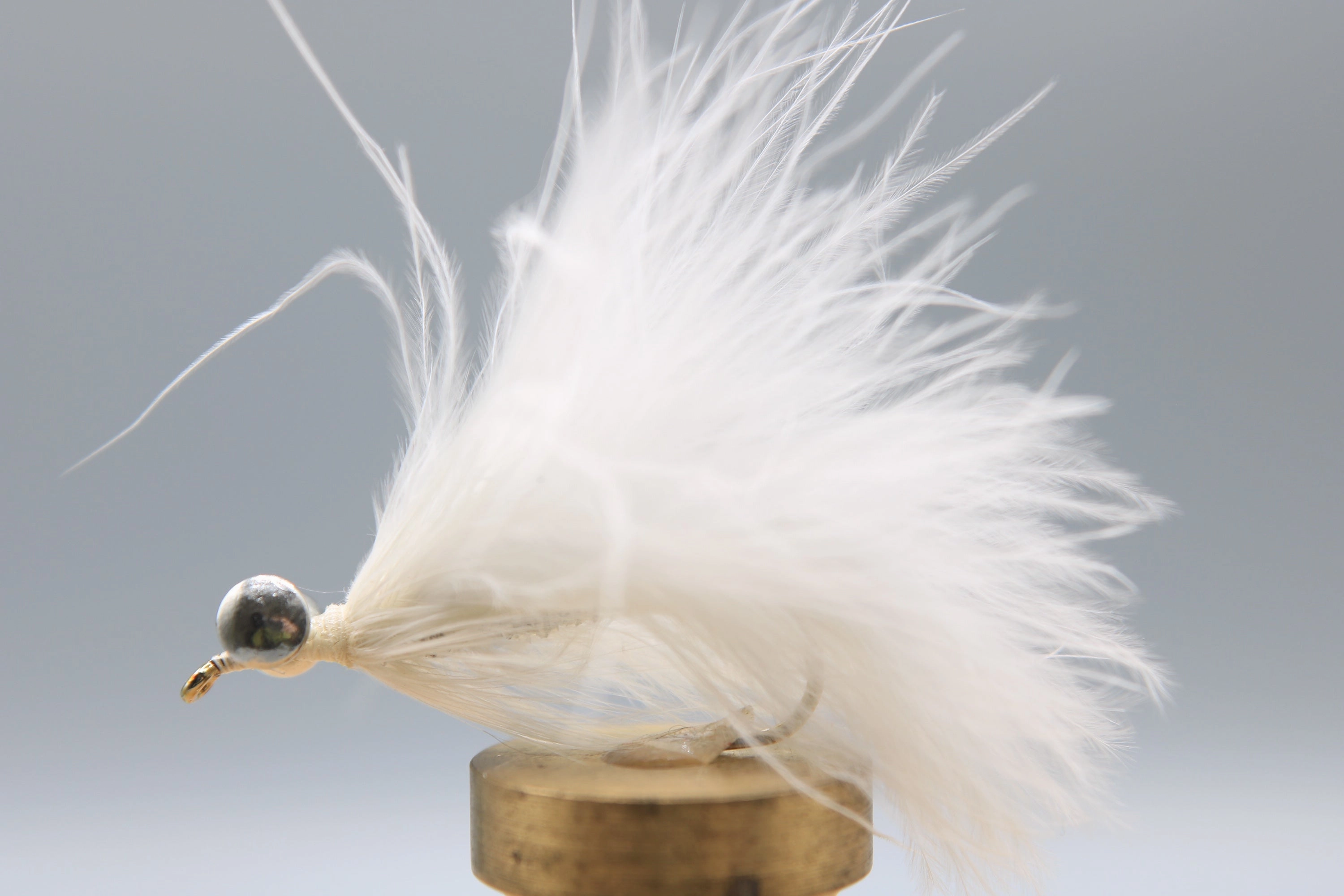 Coho Comet