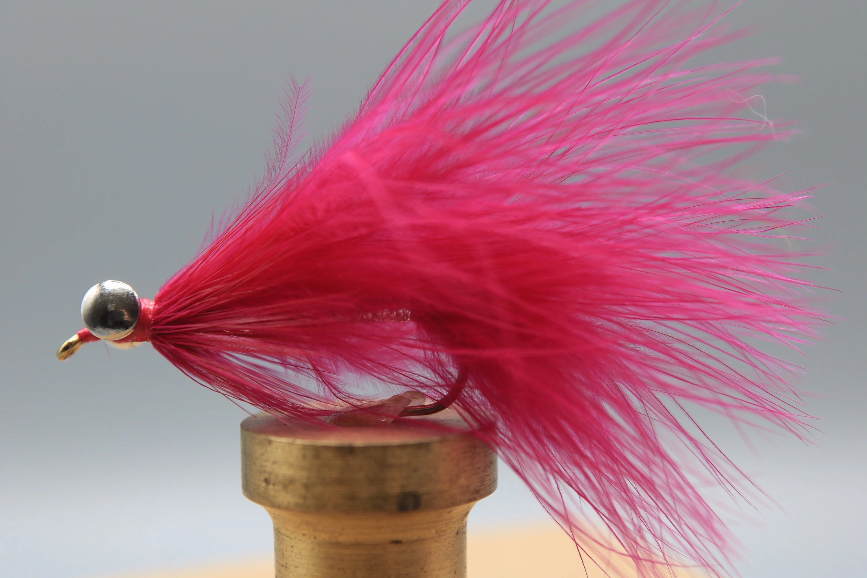 Coho Comet