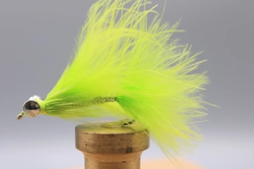 Coho Comet