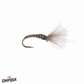 Craven's Mole Midge