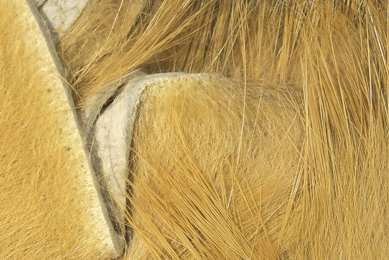 Crosscut Rabbit Strips