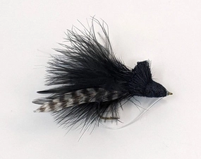 Dahlberg Diving Bug - Black 2