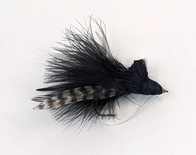 Dahlberg Diving Bug - Black 2