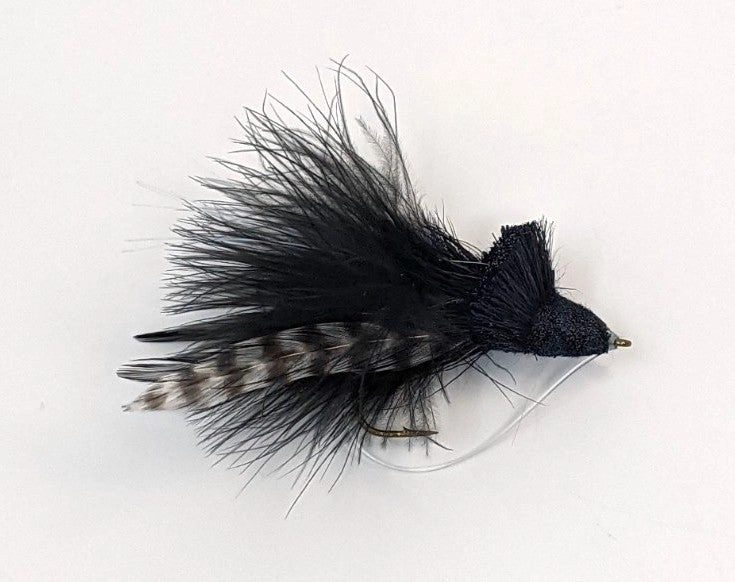 Dahlberg Diving Bug - Black 2
