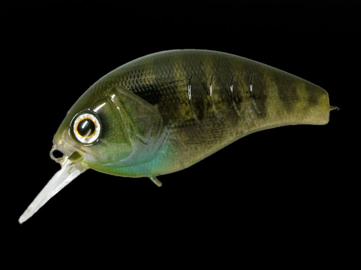 Deps Korrigan Magnum