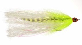 Ehlers' Gator Done