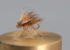 Elk Hair Caddis CDC and Elk Dry