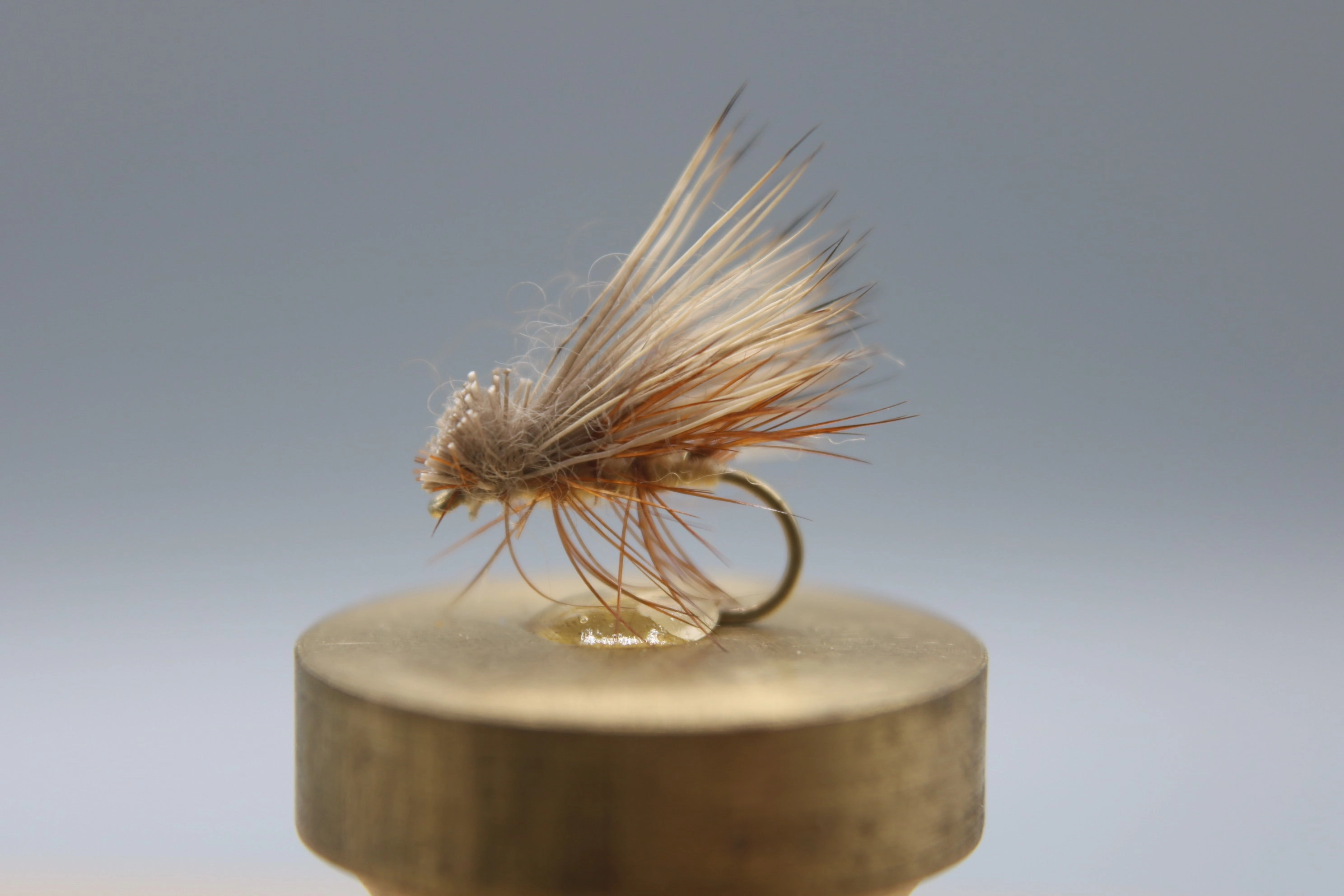 Elk Hair Caddis Dry