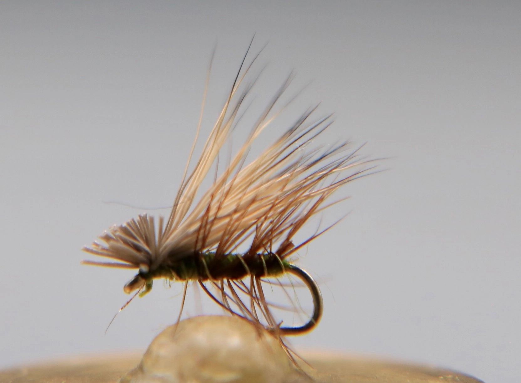 Elk Hair Caddis Dry