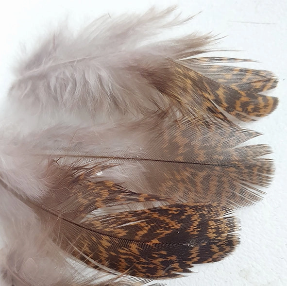 English Partridge Brown Back - Veniard