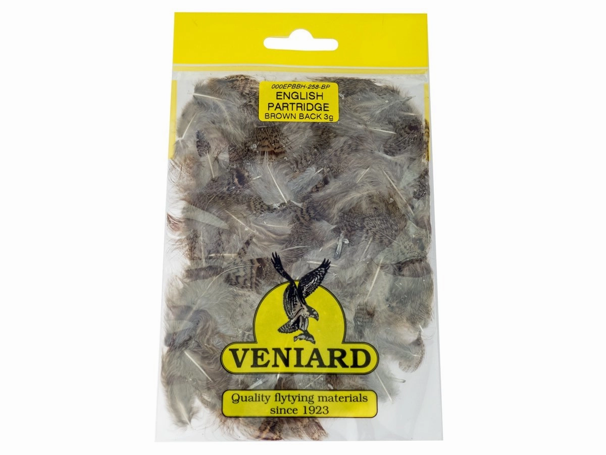 English Partridge Brown Back - Veniard