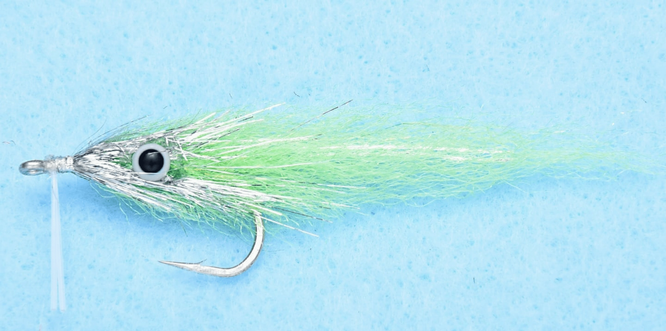 EP Bay Anchovy
