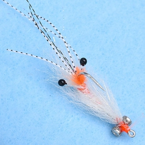 EP Spawning Shrimp