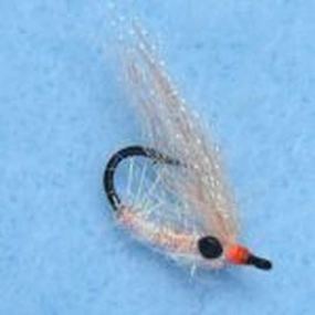 EP Turneffe Micro Shrimp