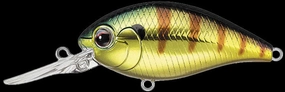 Evergreen CR Crankbaits